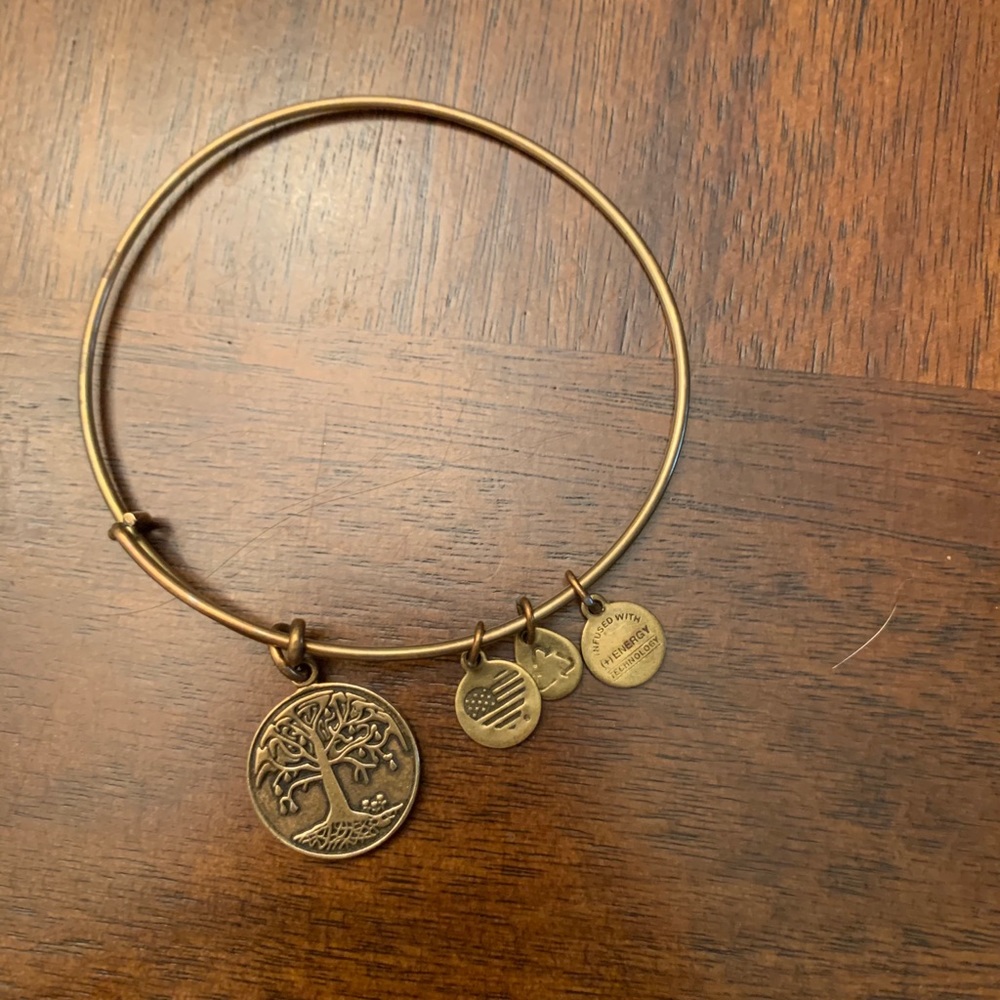 Alex and Ani bracelet